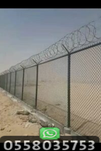 لماذا تختار العالم الجميل؟